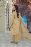 2 Piece Set in Beige Raw Silk (FR0974)