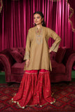 1 Piece Lawn Karandi Frock (CR3545)