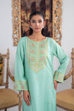 2 Piece Organza Raw Silk Suit (FP0010)