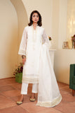 3 Piece Suit Cotton Net Suit (FR1032)