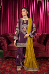 3 Piece Suit Chiffon Suit (FR1096)