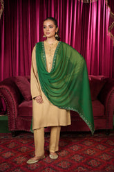 1 Piece Chiffon Dupatta (FZ0975)