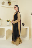 1 Piece Chiffon Dupatta (FZ0911)