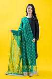Multi Green 4 in Green coloured Pak Chiffon fabric 3