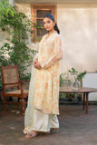 3 Piece Suit Chiffon Suit (FR1062)
