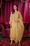 3 Piece Suit Chiffon Suit (FR1097)