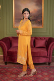 2 Piece Chiffon Suit (FR1110)