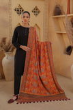 Brown Mehrab: 1 Piece Shawl in Multi Raw Silk (FZ0816)