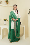 1 Piece Chiffon Dupatta (FZ0905)