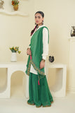 1 Piece Chiffon Dupatta (FZ0906)