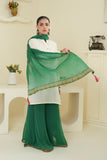 1 Piece Chiffon Dupatta (FZ0906)