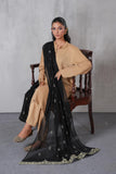 1 Piece Chiffon Dupatta (FZ0953)