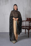 1 Piece Chiffon Dupatta (FZ0953)
