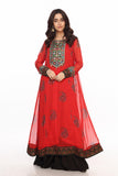 Red Ethnic 1 in Multi coloured Pak Chiffon Printed fabric
