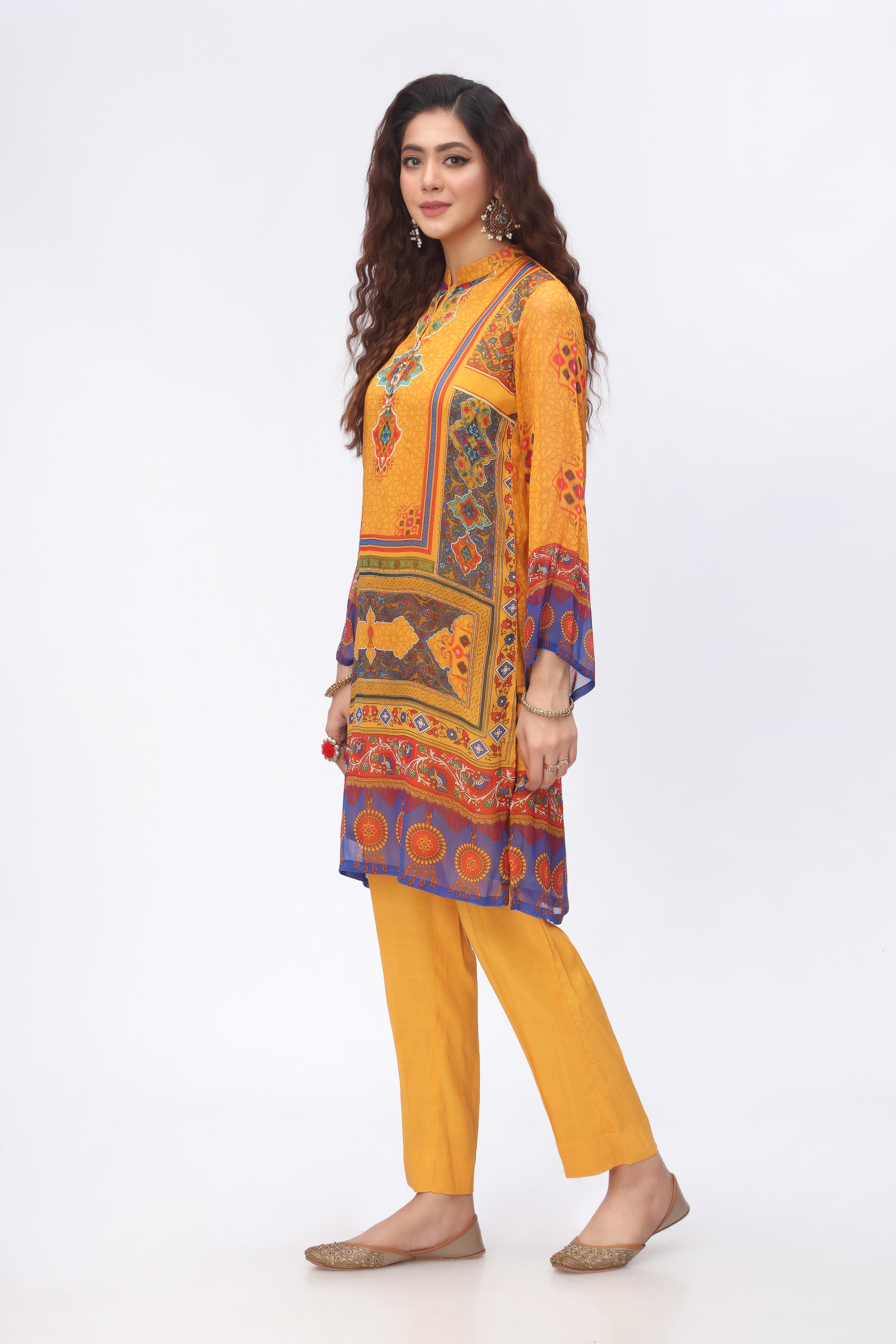 Mustard File in Multi coloured Pak Chiffon fabric 2