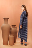 Blue Kurta (TR1059)